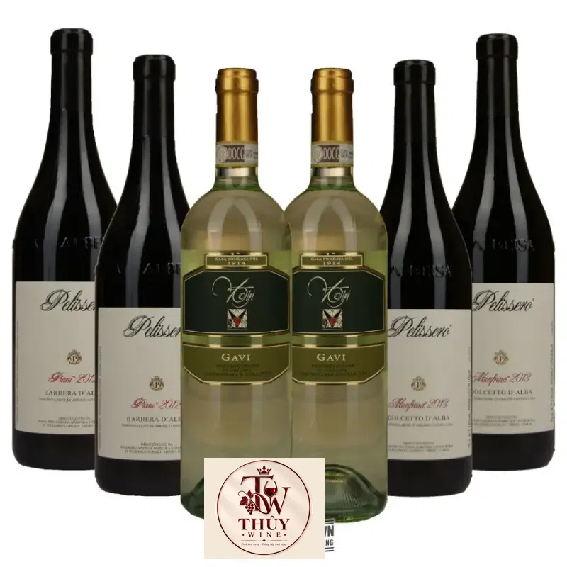 Mua vang y pelissero piani barbera d alba piemonte diem giá rẻ tại Sài Gòn