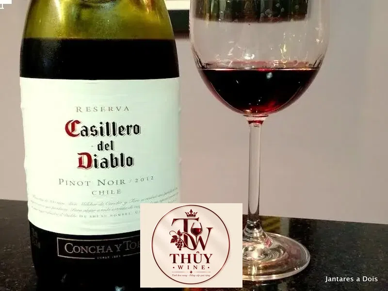 Vang Chile Casillero Del Diablo Pinot Noir