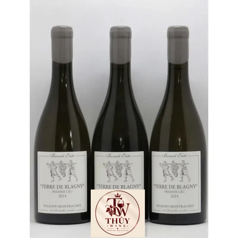 Mua vang phap puligny montrachet benoit ente giá rẻ tại Sài Gòn