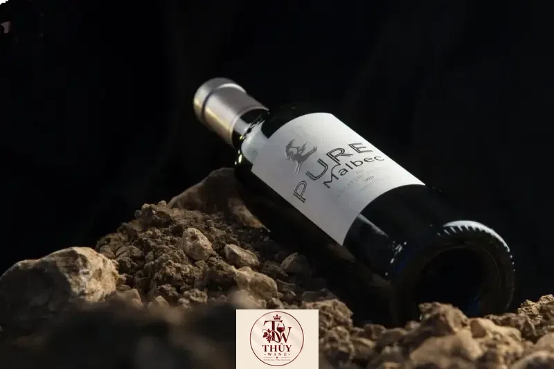 Vang Pháp CHATEAU PECH DE JAMMES PURE MALBEC