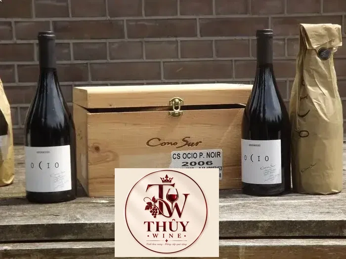 Vang Chile OCIO Cono Sur Pinot Noir