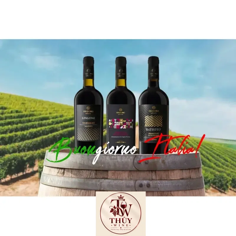Vang Ý Batisteo Primitivo di Manduria Riserva Feudoro Hảo hạng