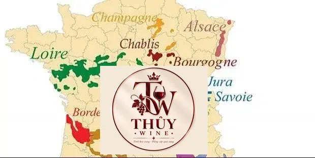 Mẹo mua sắm rượu vang theo từng vùng miền. – Hãy cùng chia sẻ và ...