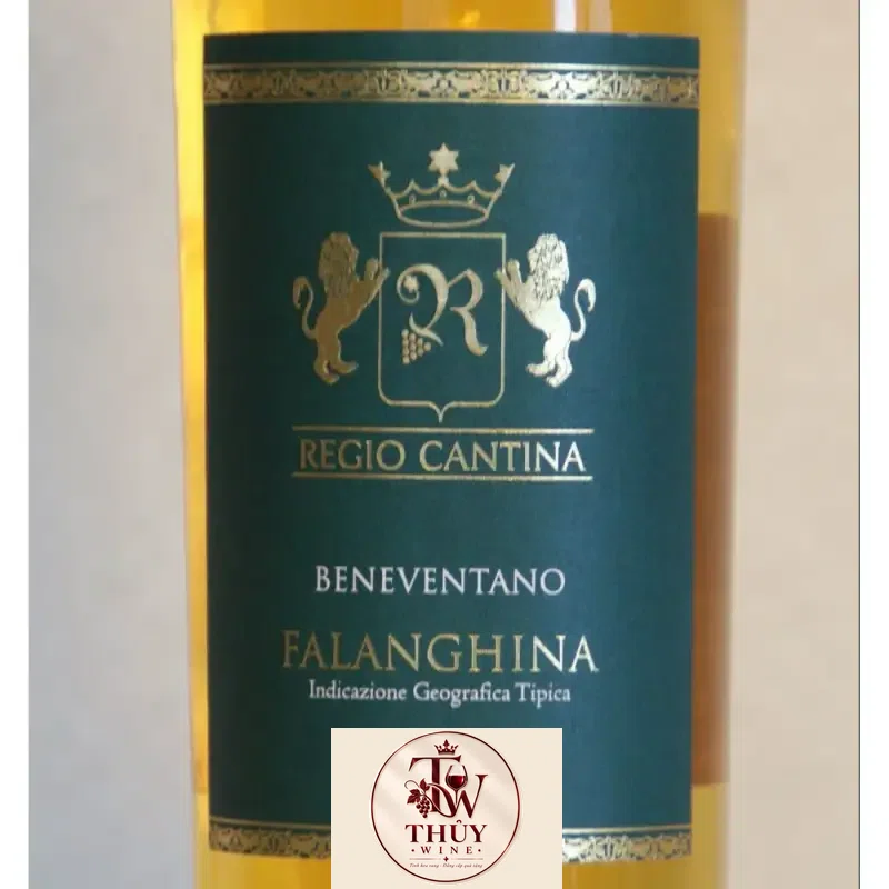 vang y regio cantina falanghina igt beneventano giá bao nhiêu