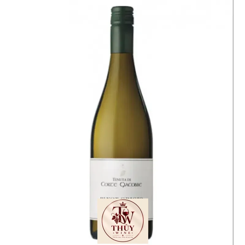 Rượu Vang Ý Corte Giacobbe Pinot Grigio uống ngon