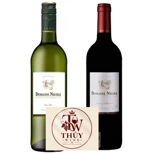 Vang Pháp Domaine Nicole Coteaux de Blessiless