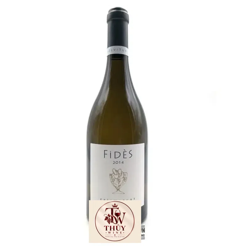 Vang Pháp Fides Eric Morgat White thượng hạng