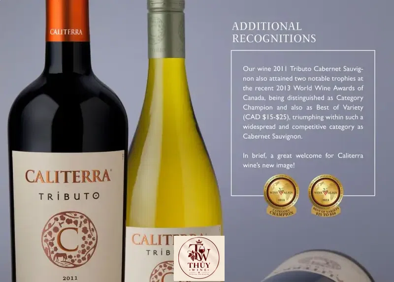 Vang Chile CALITERRA Tributo Chardonnay