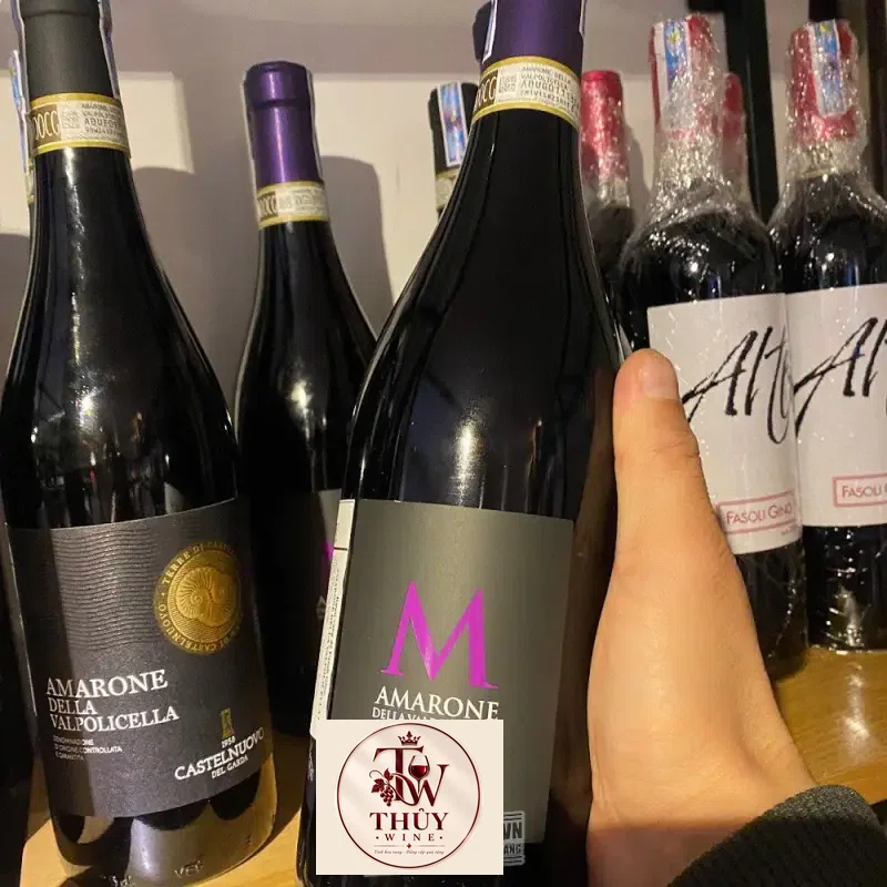 Vang Ý Amarone Della Valpolicella DOCG M Fasoli Gino Di Amadio