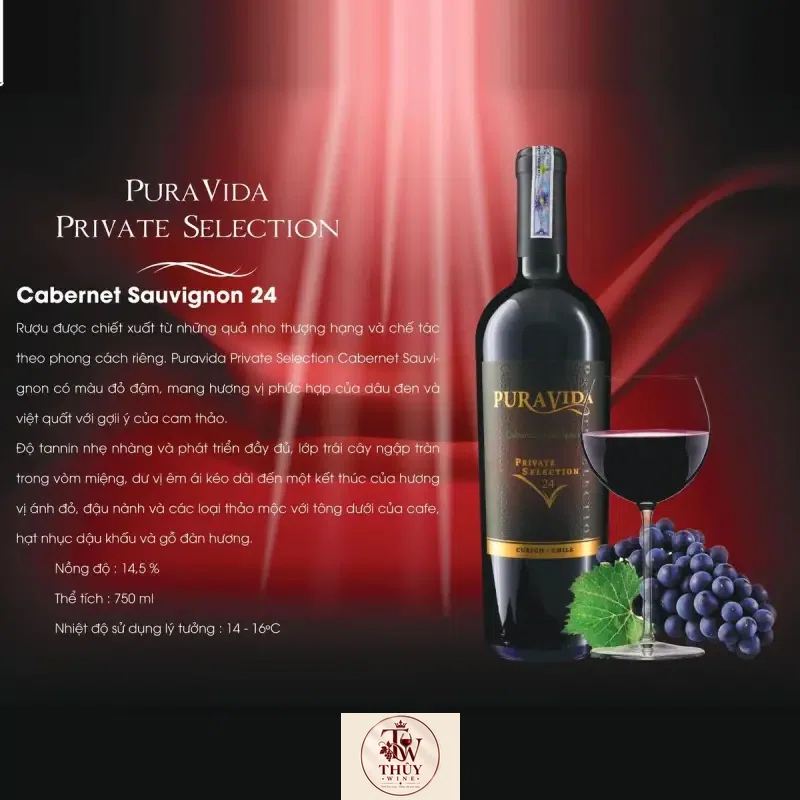 Rượu Vang Chile PURAVIDA PRIVATE SELECTION Cabernet Sauvignon 24
