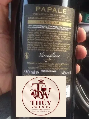 Rượu vang Ý Papale Primitivo