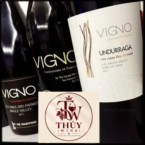 Vang Chile VIGNO UNDURRAGA