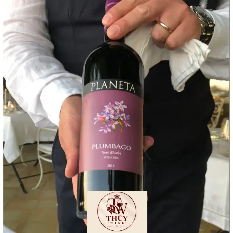 Mua vang y planeta plumbago nero davola sicilia giá rẻ tại Hà Nội