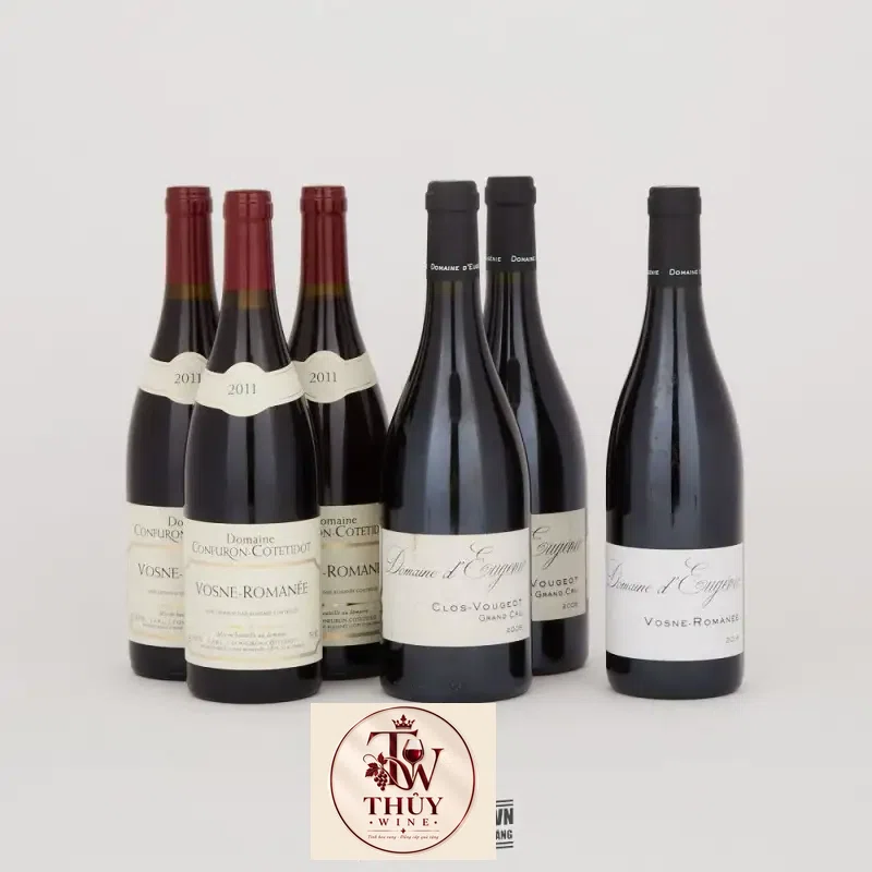 Mua vang phap domaine deugenie vosne romanee giá rẻ tại Sài Gòn