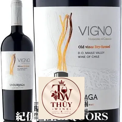 Vang Chile VIGNO UNDURRAGA