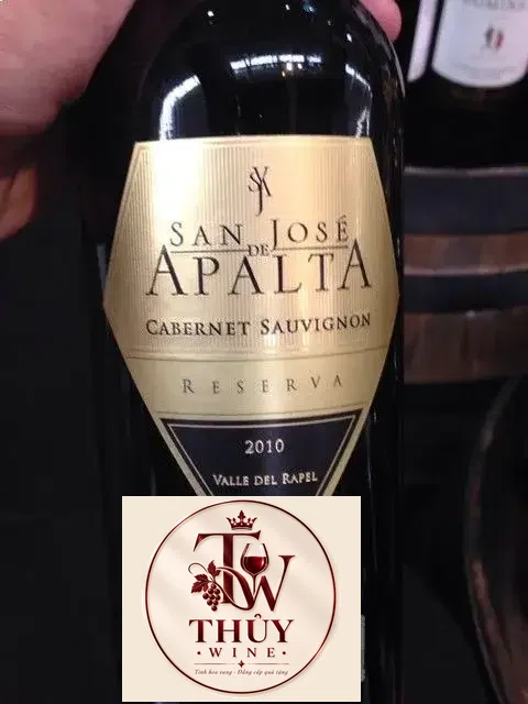 Kết quả hình ảnh cho vang chile apalta cabernet sauvignon