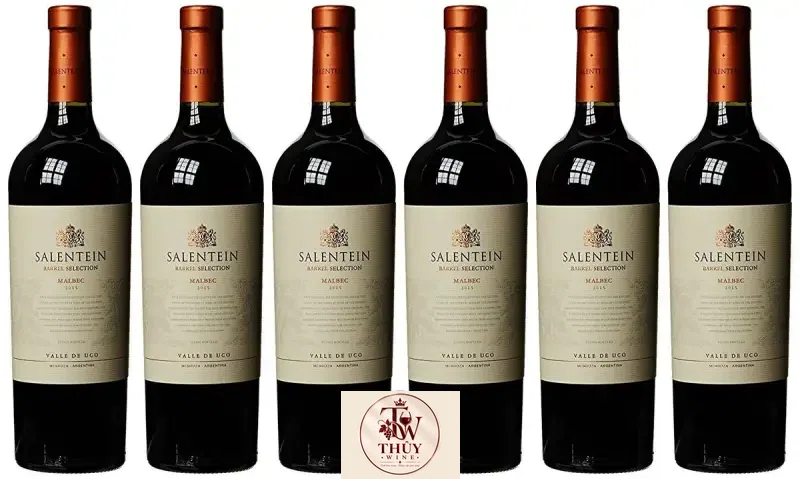 Vang Argentina SALENTEIN Barrel Selection Malbec