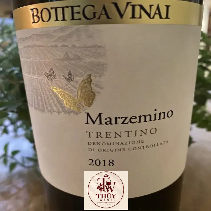 Địa chỉ bán vang y bottega vinai pinot grigio giá rẻ tại Hà Nội