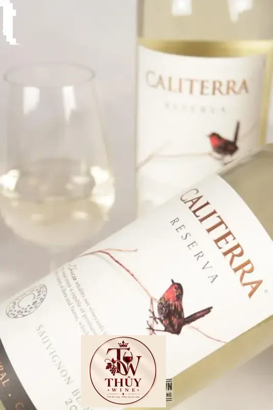 Vang Chile CALITERRA Reserva Sauvignon Blanc