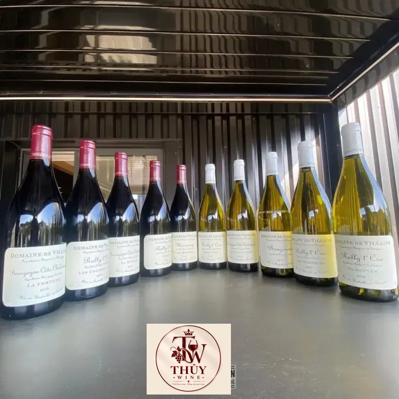 Vang Pháp Domaine Villaine Montpalais Rully 1st Cru
