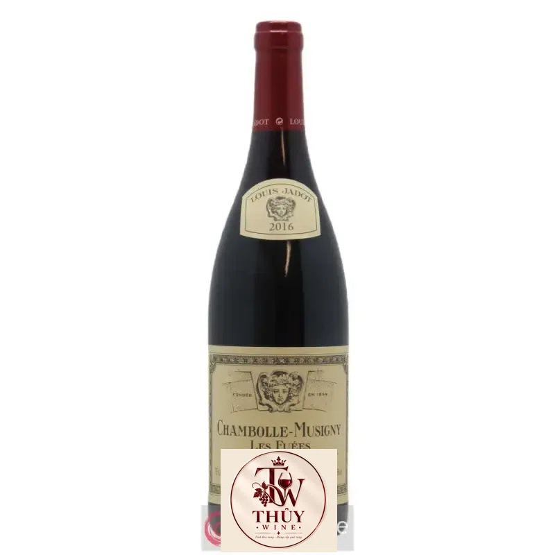 Vang Pháp Chambolle Musigny Les Fuees Louis Jadot thượng hạng