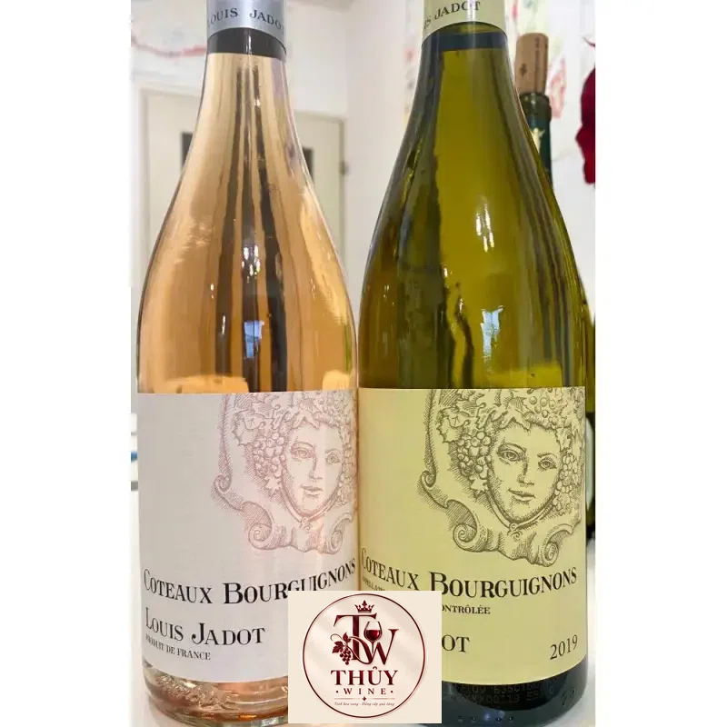 Mua vang phap louis jadot coteaux bourguignon do giá rẻ tại Hà Nội