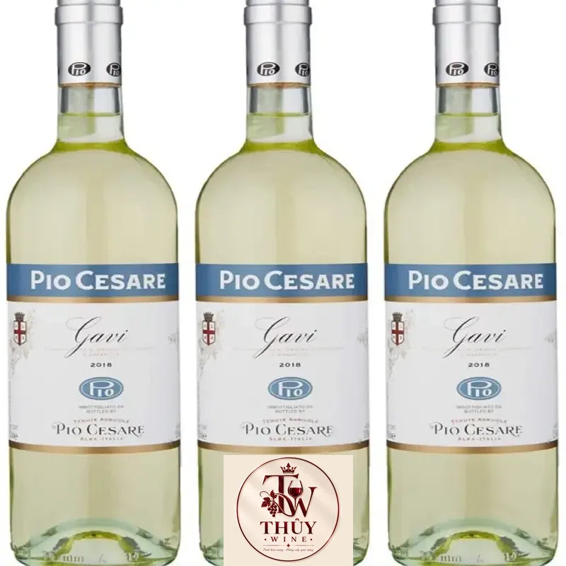 vang-y-pio-cesare-gavi
