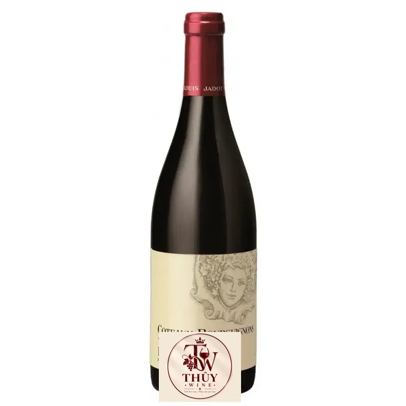 Vang Pháp Louis Jadot Coteaux Bourguignon uống ngon