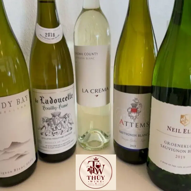 Mua vang y attems sauvignon blanc giá rẻ tại Sài Gòn