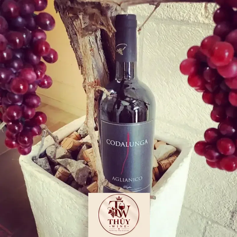 Vang Ý Codalunga Aglianico Tenute Girolamo