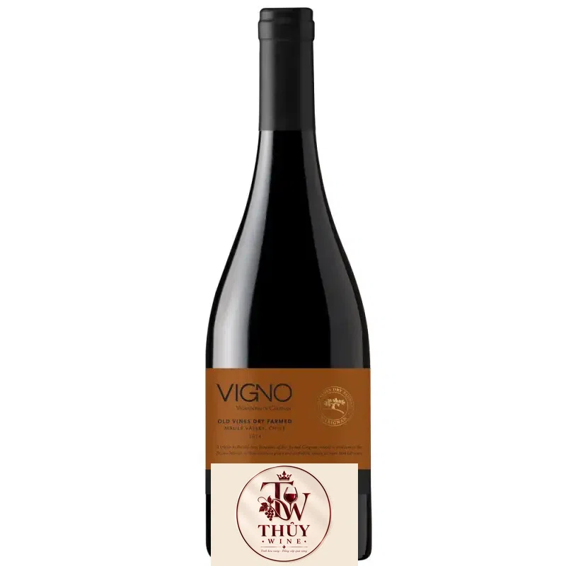 Vang Chile Vigno Old Vines Dry Farmed Concha Y Toro Carignan