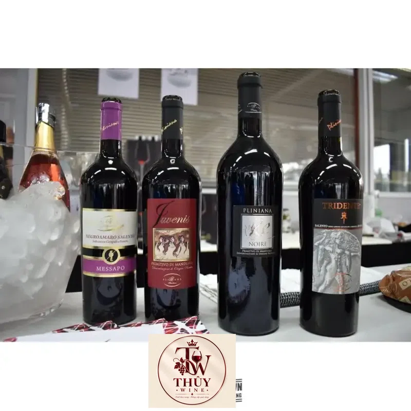 vang-y-pliniana-re-noire-primitivo-di-manduria