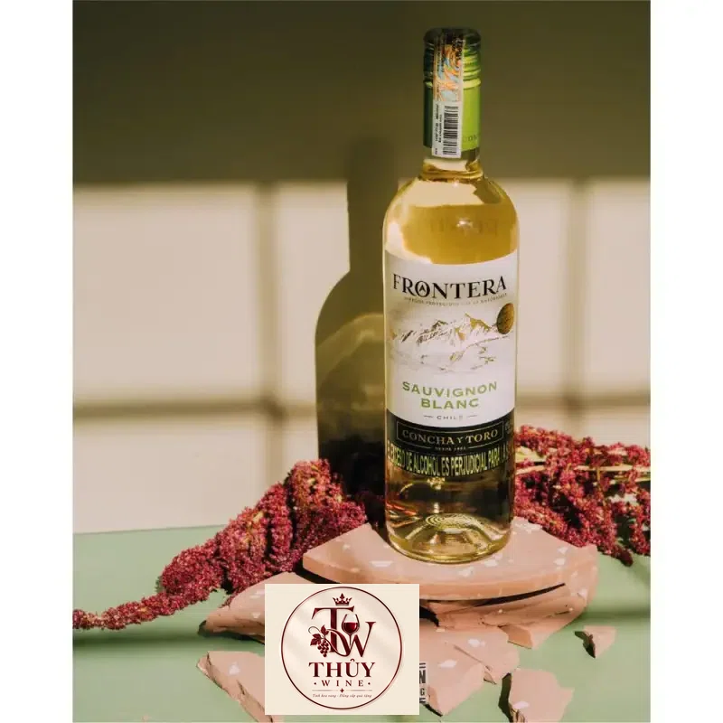Địa chỉ bán vang chile frontera sauvignon blanc concha y toro giá rẻ tại Sài Gòn
