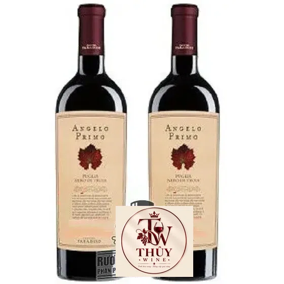 Vang Ý ANGELO PRIMO PUGLIA NERO DI TROIA