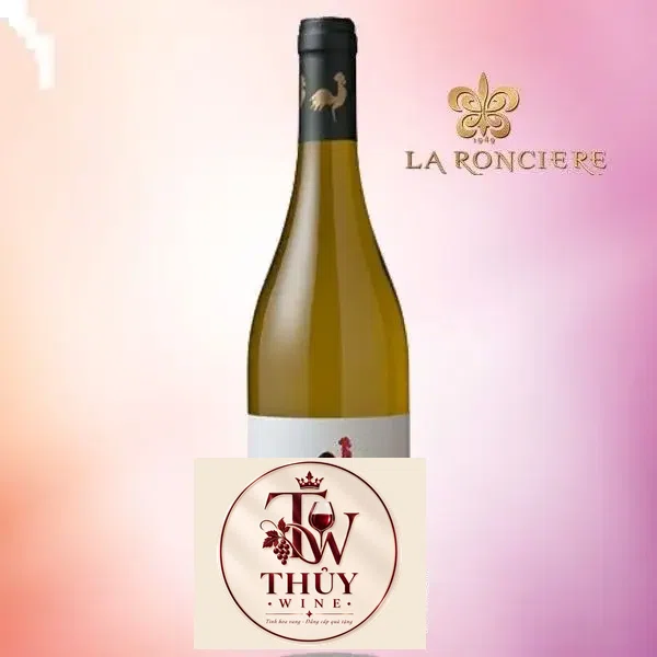 Vang Chile Cantoalba Chardonnay