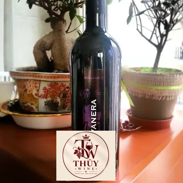 Rượu Vang Ý POLVANERA AGLIANICO