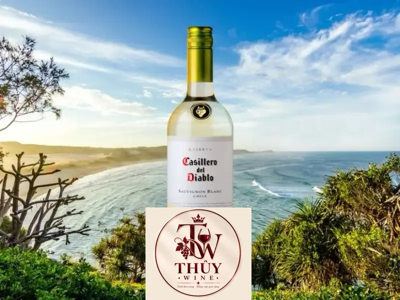 Vang Chile Casillero Del Diablo Sauvignon Blanc