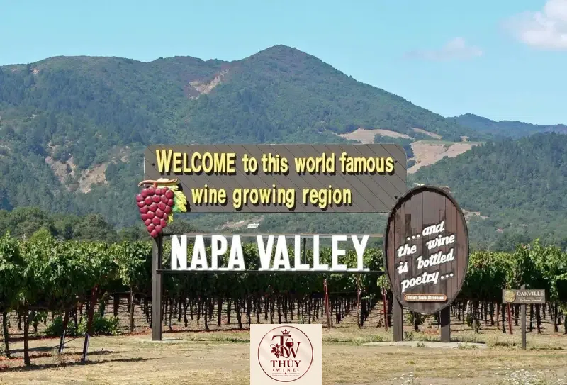 Vang Mỹ NAPA VALLEY 55 MERLOT