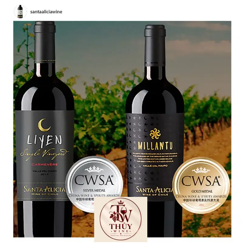 Mua vang chile santa alicia liyen cabernet sauvignon giá rẻ tại Hà Nội