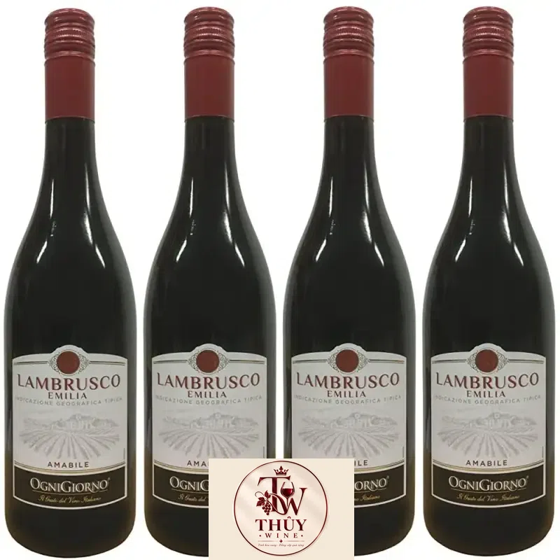 Mua vang y lambrusco dell emilia ogni giorno giá rẻ tại Sài Gòn