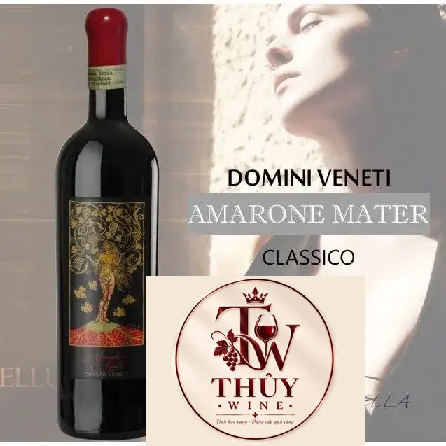Vang Ý AMARONE MATER