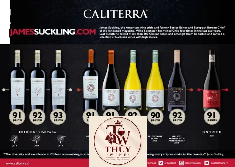 Vang Chile CALITERRA Tributo Chardonnay