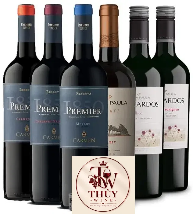 Vang Chile CARMEN PREMIER RESERVA CABERNET SAUVIGNON
