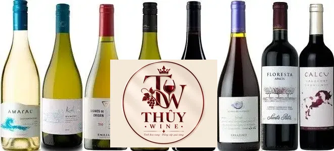 Vang Chile EMILIANA SIGNOS De Origen Chardonnay