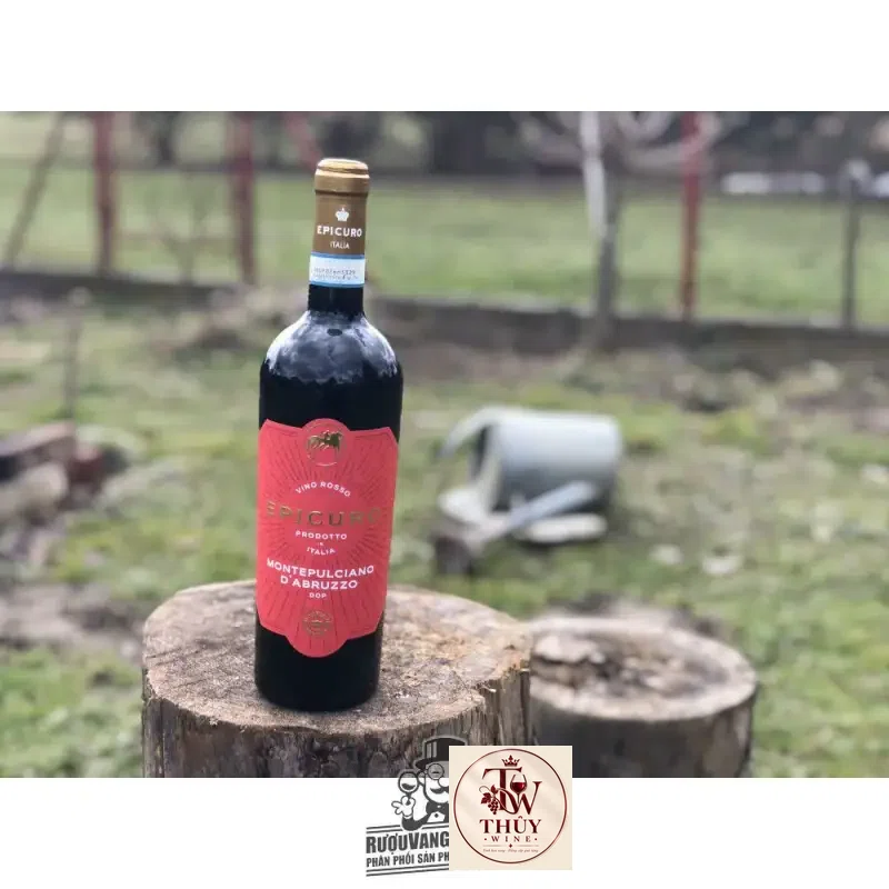 Mua ruou vang y epicuro montepulciano d abruzzo d o p giá rẻ tại Hà Nội