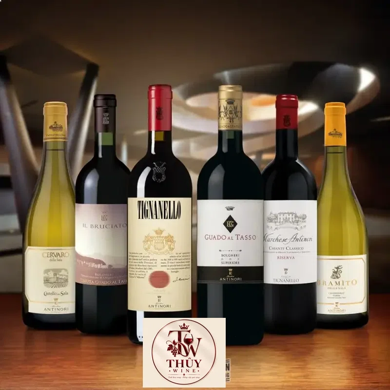 vang-y-il-bruciato-bolgheri-marchesi-antinori
