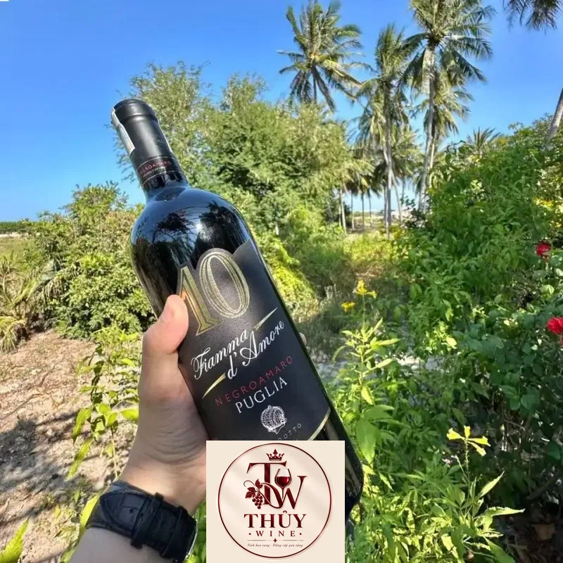 Địa chỉ bán vang y fiamma d amore negroamaro puglia gia tot giá rẻ tại Hà Nội