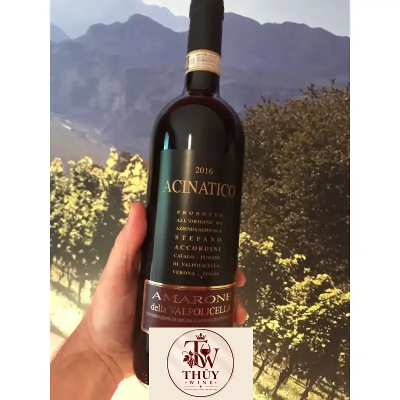 Mua ruou vang acinatico amarone della valpolicella giá rẻ tại Sài Gòn