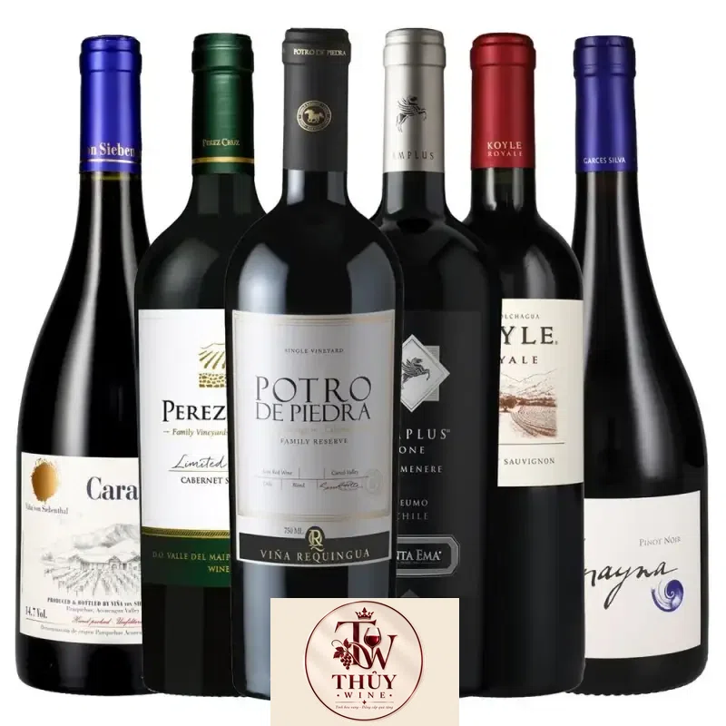 vang-chile-koyle-royale