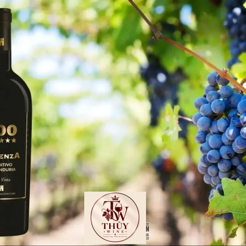 Địa chỉ bán Rượu Vang ý 100 ESSENZA Primitivo